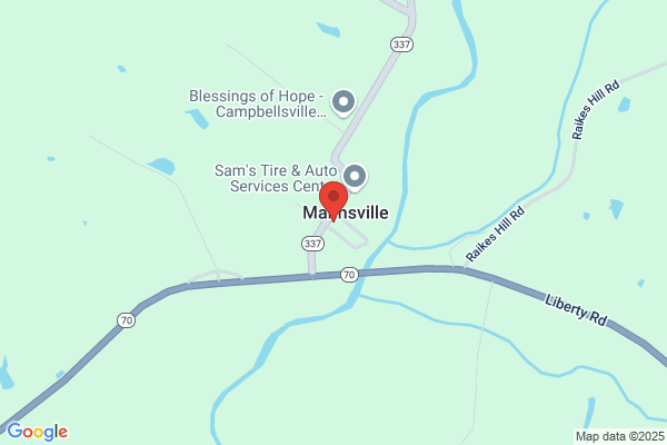 Mannsville Market