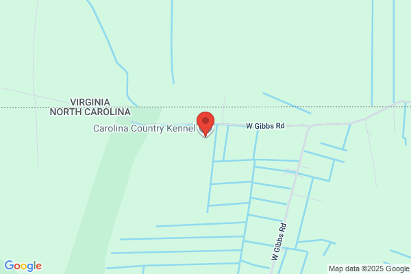 Carolina Kennels
