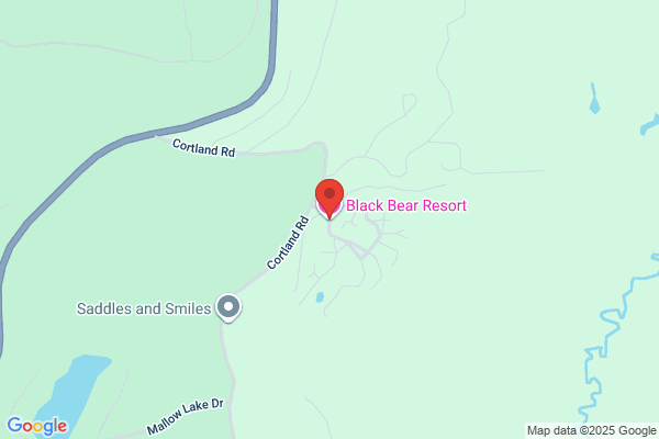 Black Bear Resort