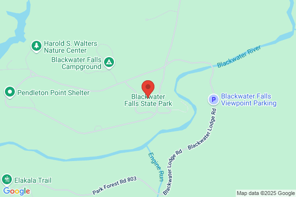 Blackwater Falls Campground