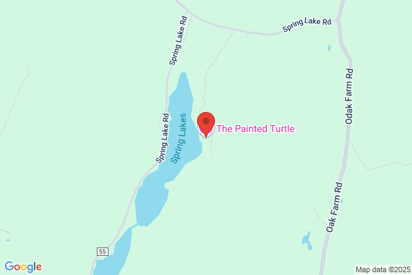 Painted Turtle