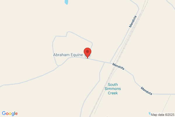 Abraham Equine