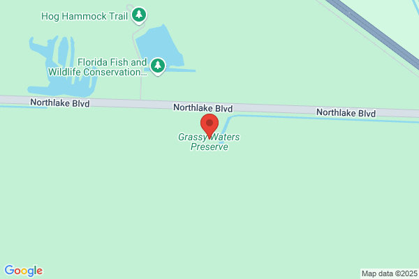 Grassy Waters Video Inc