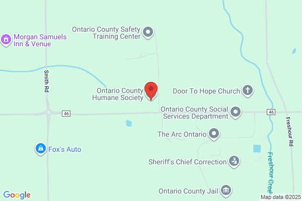 Happy Tails Animal Shelter Humane Society of Ontario County