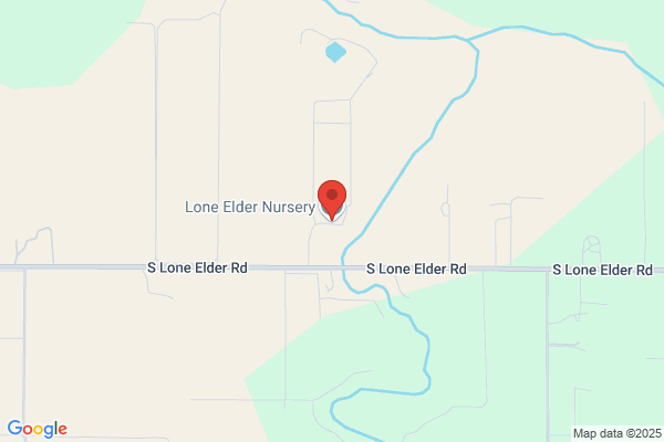 Bush's Lone Elder Nursery