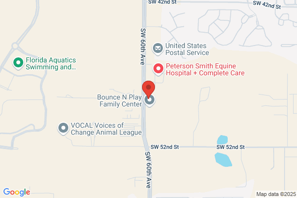 Airport Rd Animal Clinic Inc