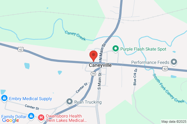 Caneyville Tax Services