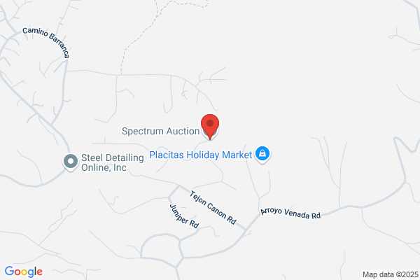 Spectrum Auctions