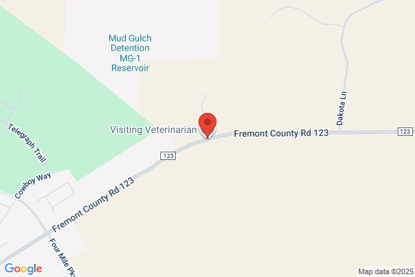 Visiting Veterinarian