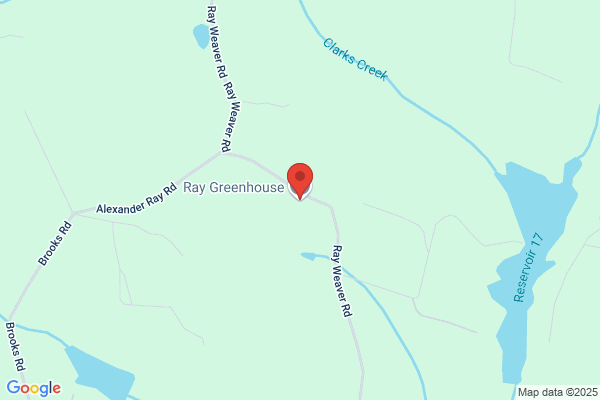 Ray Greenhouse