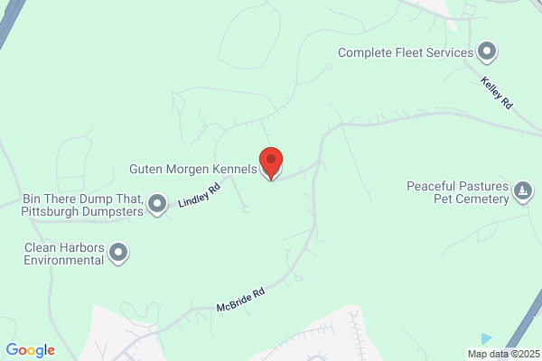 Rivendell Kennel