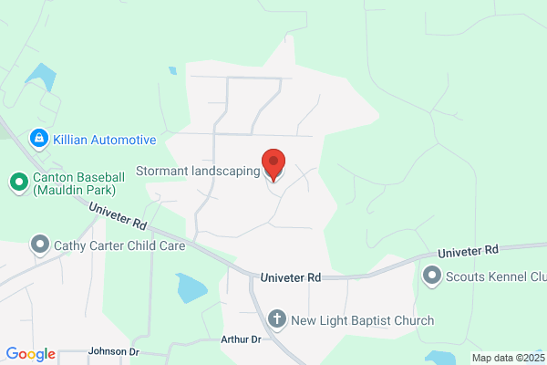StormAnt Landscaping, LLC