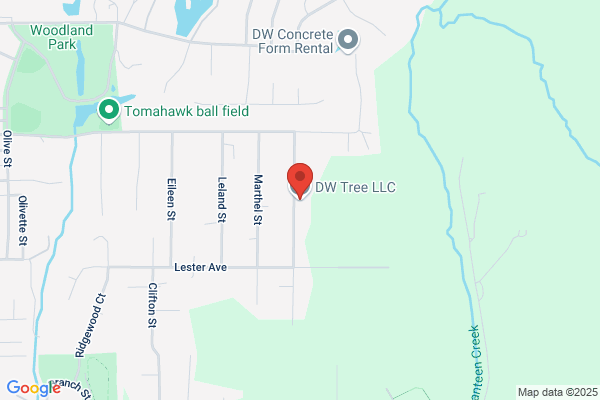 Collinsville Tree Service