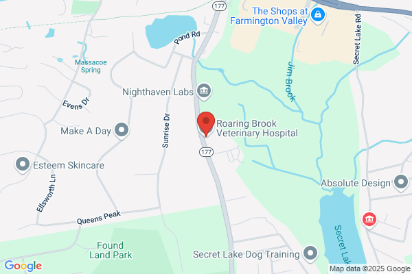 Roaring Brook Veterinary