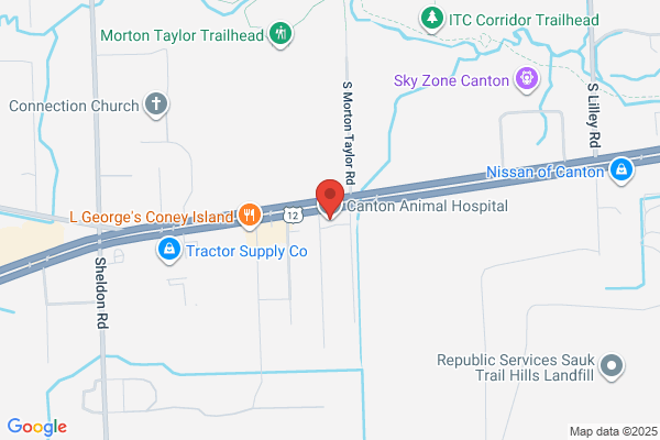 Canton Animal Hospital