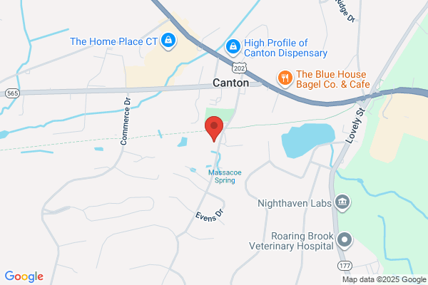 Canton Springs Storage