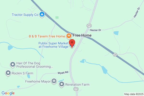 Publix Super Market at Freehome Village
