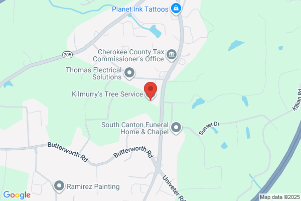 Kilmurry's Tree Service