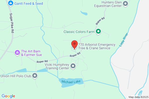 770 Arborist Emergency Tree & Crane Service