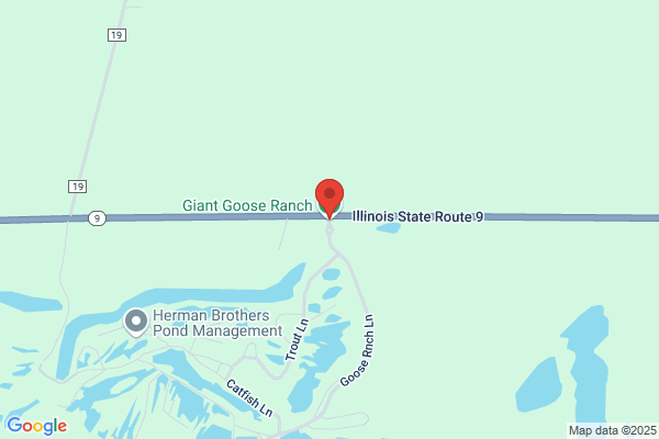 Giant Goose Ranch