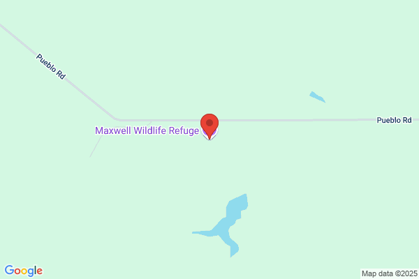 Friends of Maxwell