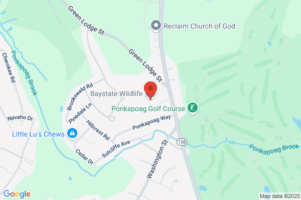 Baystate Wildlife Management