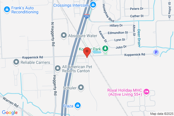 Montway Auto Transport