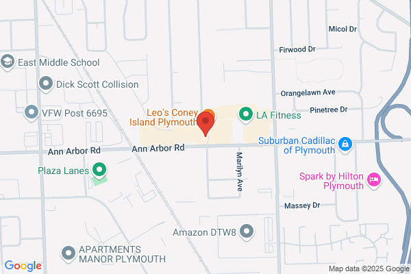Ann Arbor Physical Therapy Services