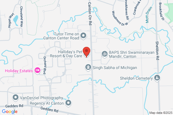 Hallidays Pet Resort & Day Care