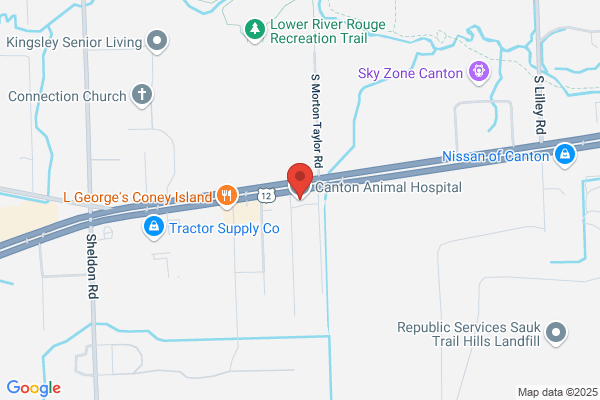 Canton Animal Hospital