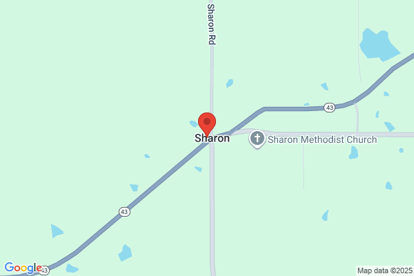 Sharon's Concepts
