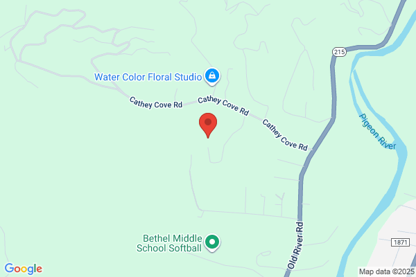 Medford Tree Service