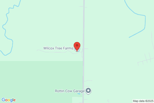 Wilcox Tree