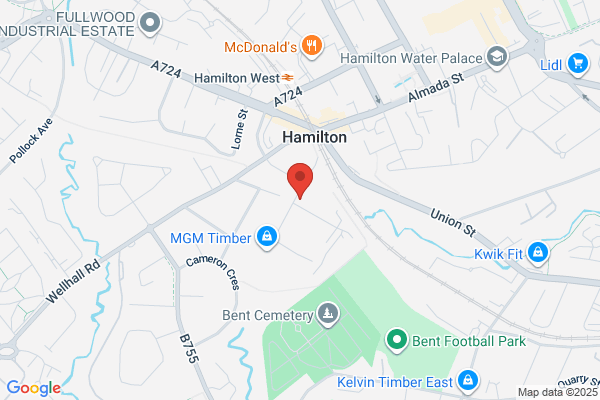 Hamilton Alarm Co