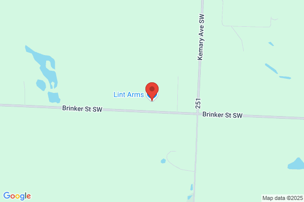 Lint Arms
