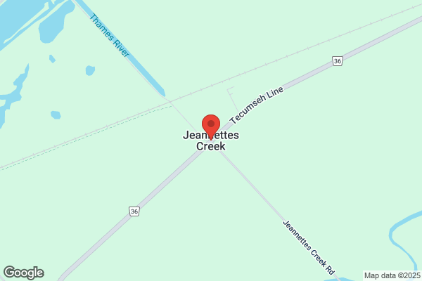 Jeannette's