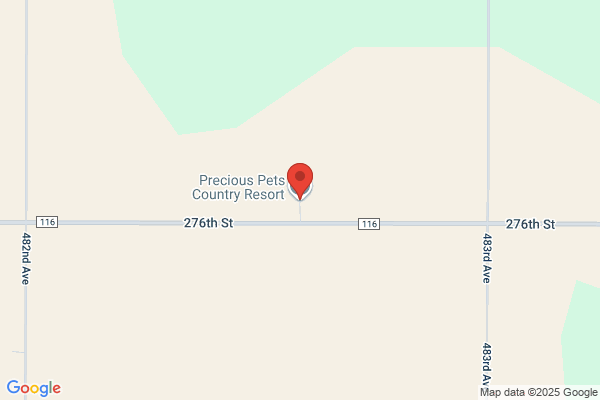 Precious Pets Country Resort