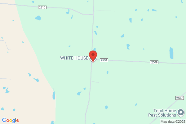 Our House In the Country