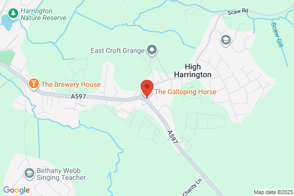 Galloping Horse the