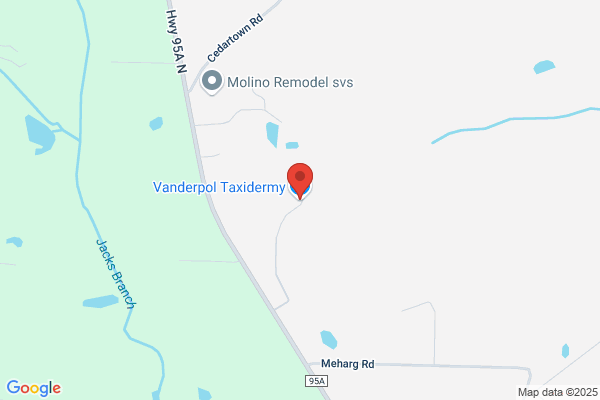 Ron Vanderpol Taxidermy