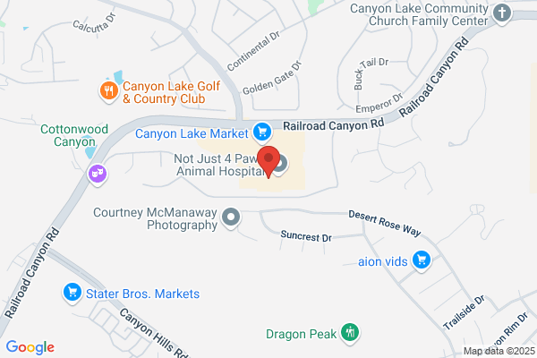 Harcourts Prime Properties - Dawna Thibodeau