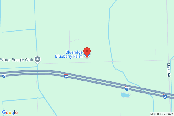 Blueridge Blueberry Farm