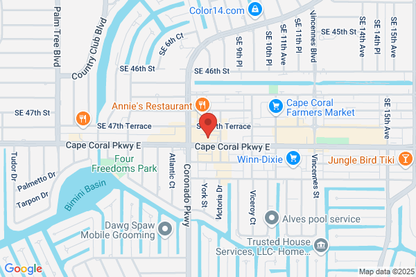 Advance Auto Parts