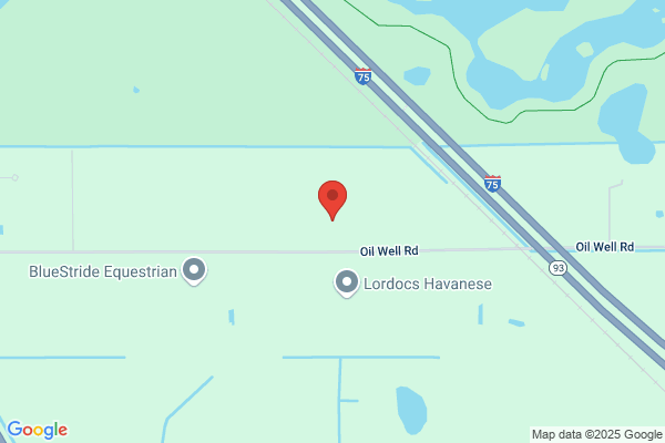 Gulf Shore Surveying Inc