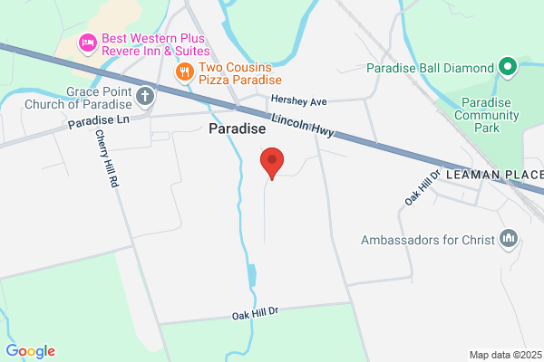 Paradise Limousine