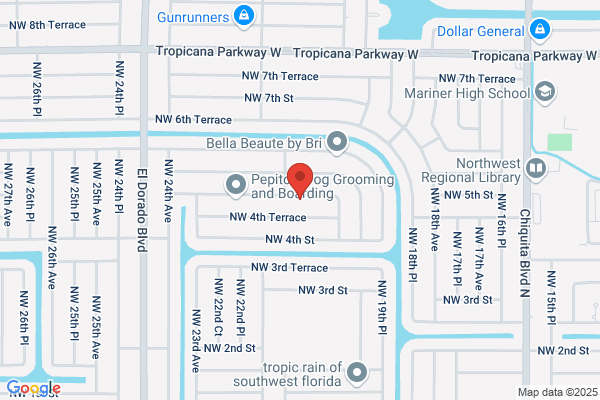 Pinera Cleaning Services LLC