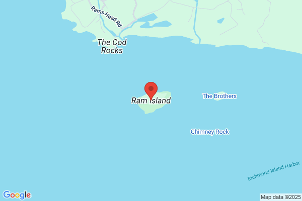 Ram Island Group Llc