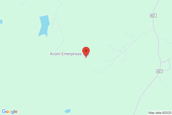 Acorn Enterprises Inc