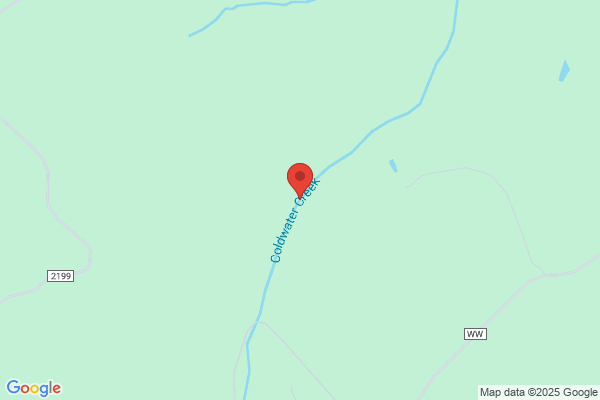 Coldwater Creek - CLOSED