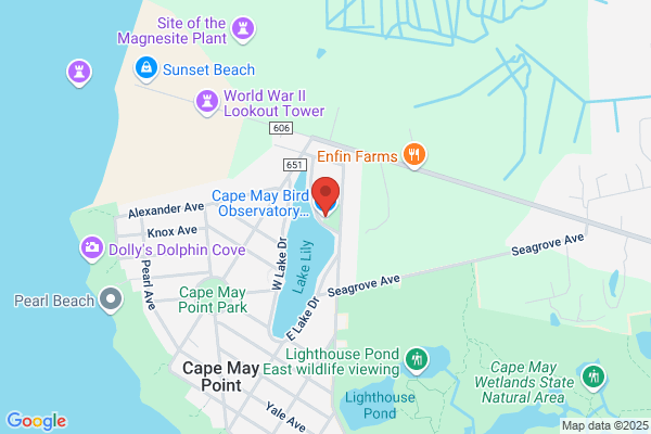 Cape May Bird Observatory